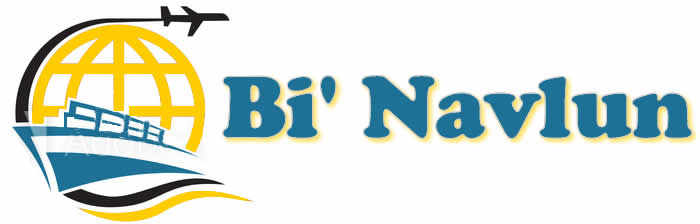 Bi Navlun  +